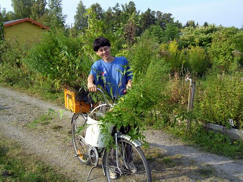 Matte flyttar växter med hjälp av cykeln